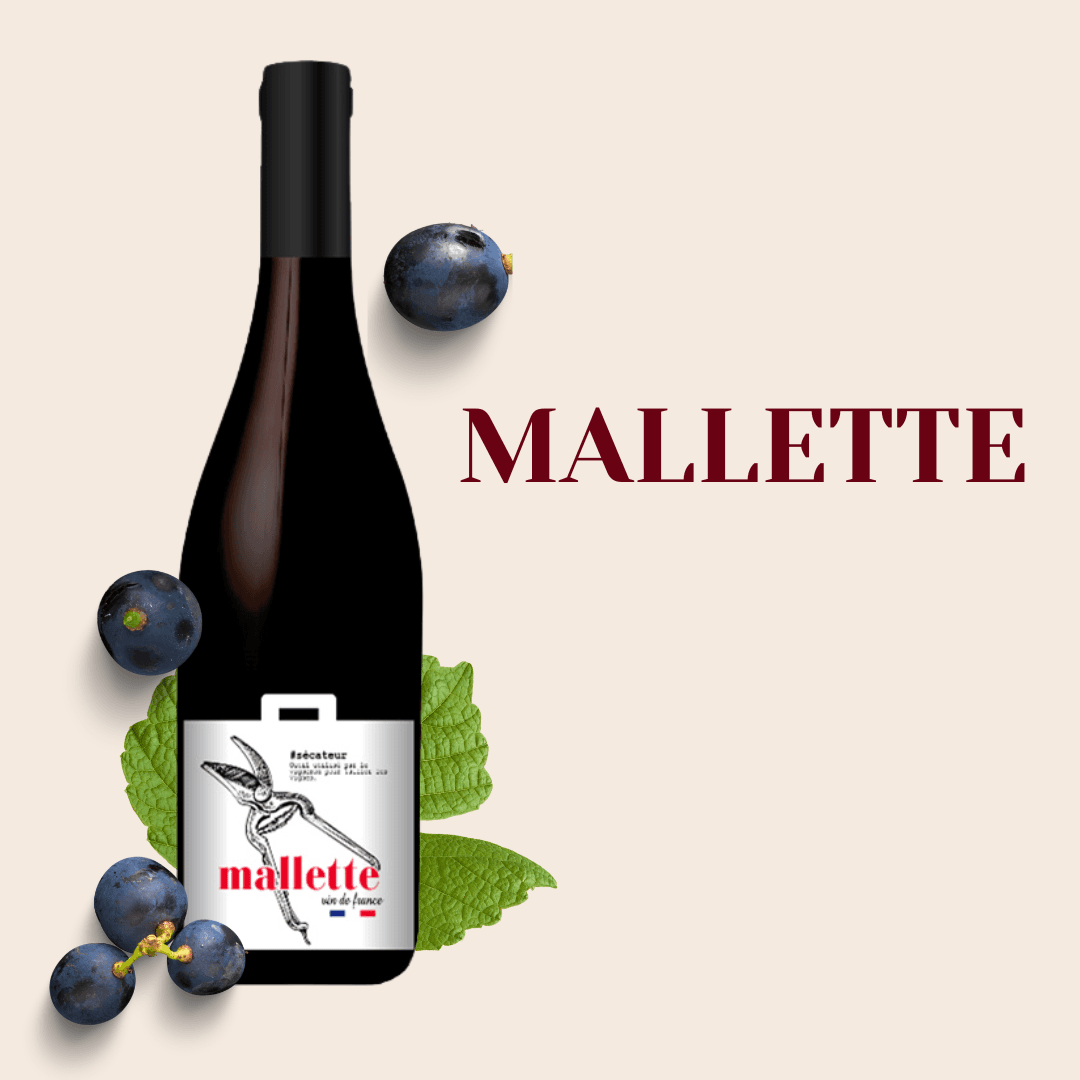Bouteille de vin Mallette